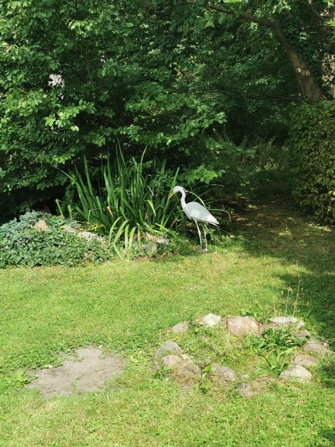 Pension Zum Park Goldberg Екстериор снимка