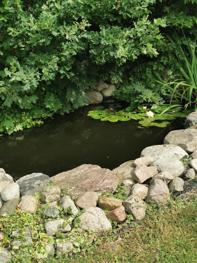 Pension Zum Park Goldberg Екстериор снимка